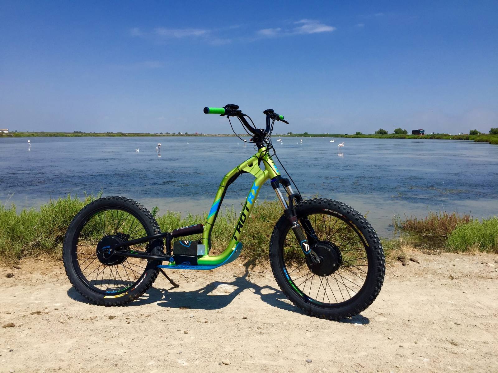 Trott Camargue maximus Organisation 