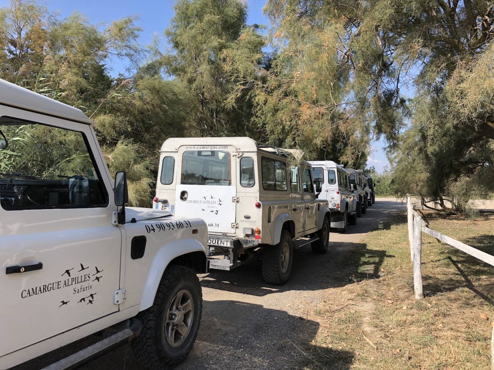 safari camargue defender Maximus Organisation