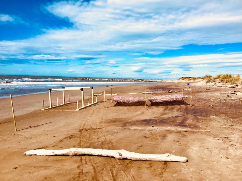 plage sauvage en Camargue maximus organisation camargue