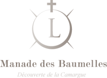 Visite de manade Saintes Maries de la Mer Manade des Baumelles